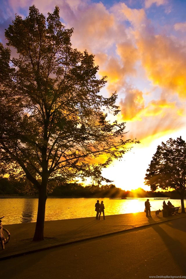 Nature Wallpapers Autumn, Brown