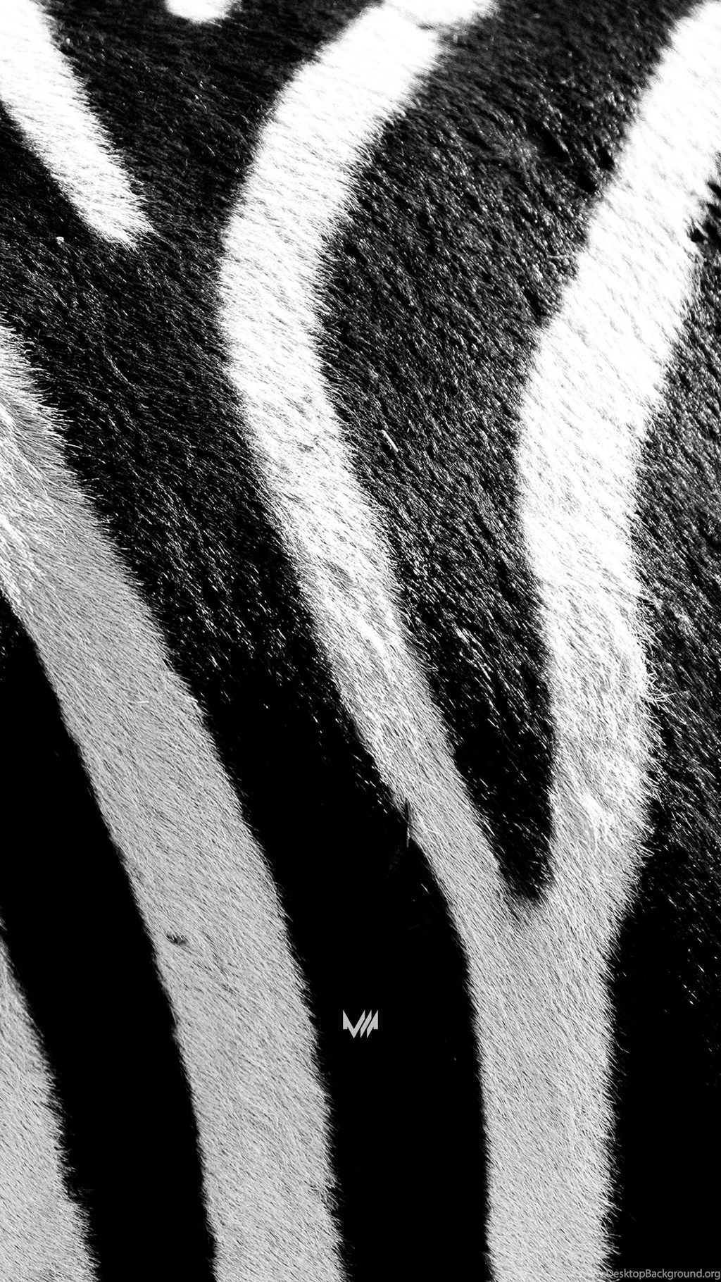 Wallpapers Monday [235] – Black 'n White