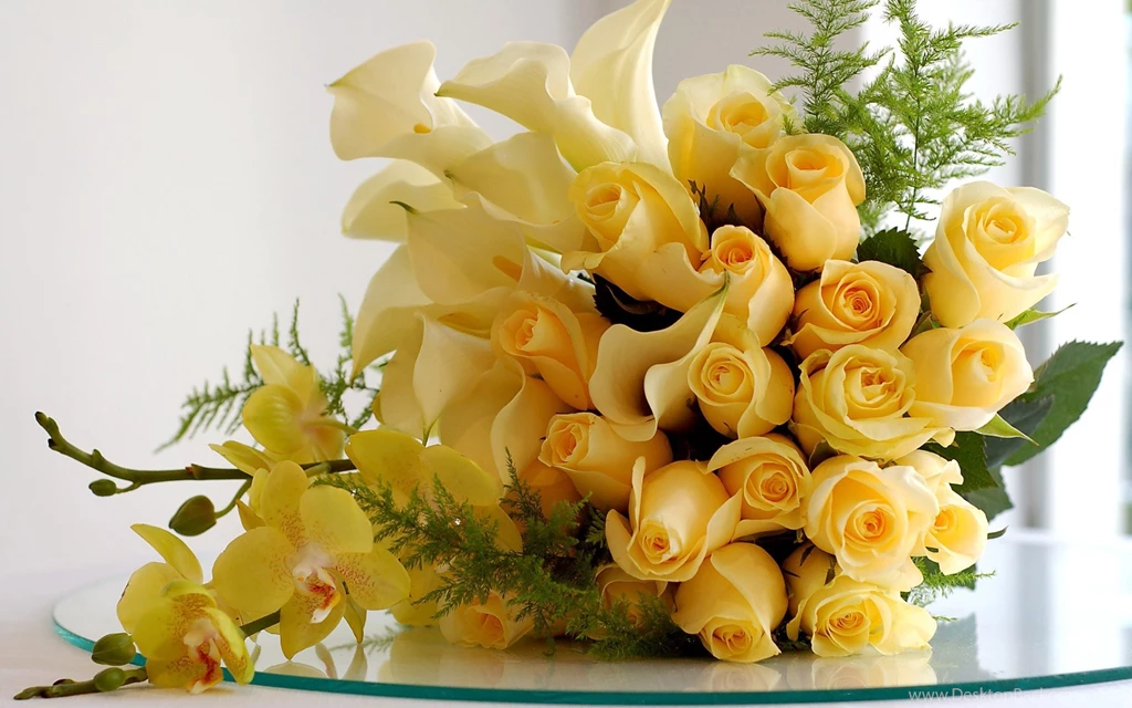 Flower Rose Yellow