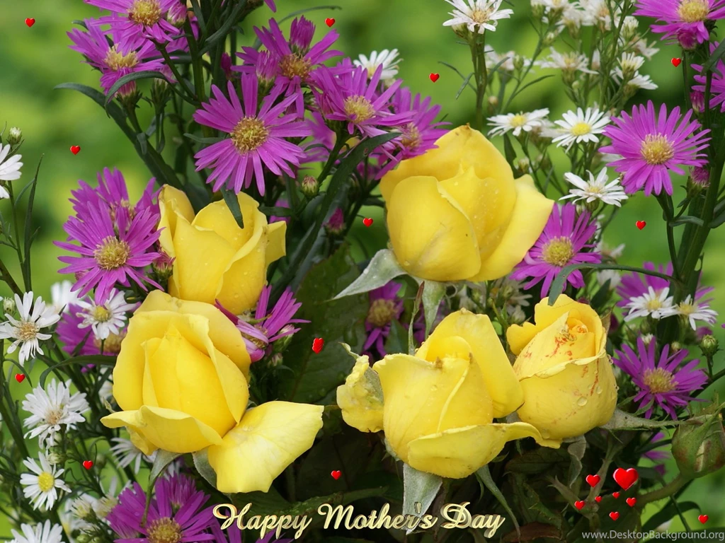 Yellow+rose+flower+wallpaper 4.jpg