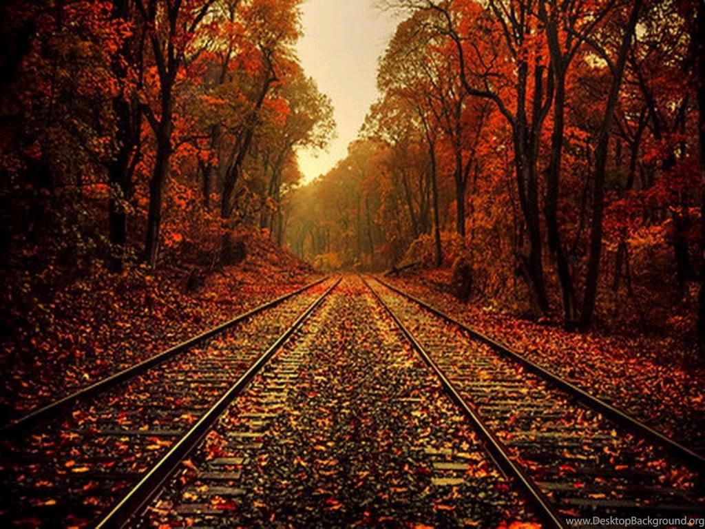 Fall Themed Wallpapers HD Wallpapers And Pictures