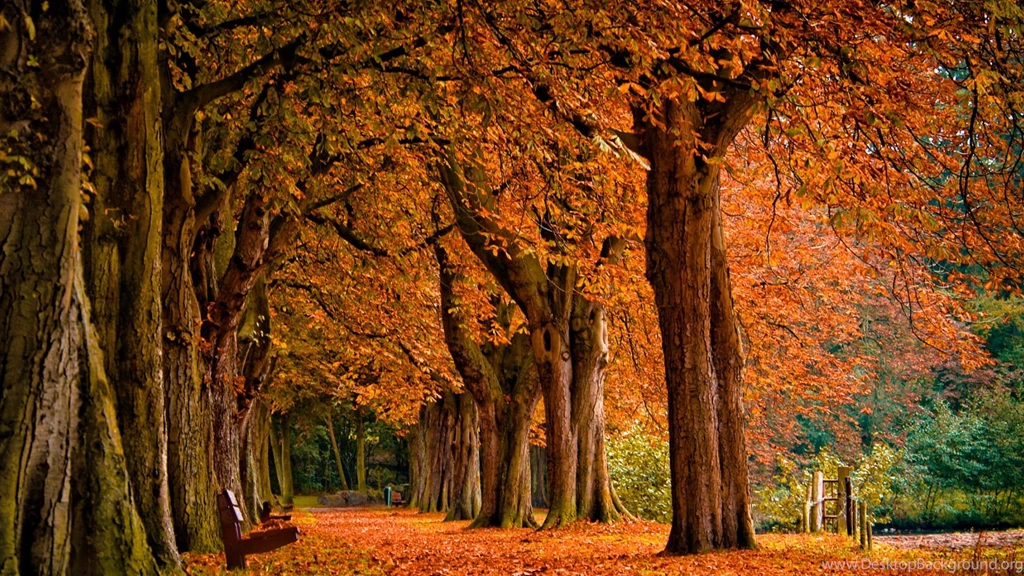 Fall Themed Desktop Backgrounds Wallpapers Zone