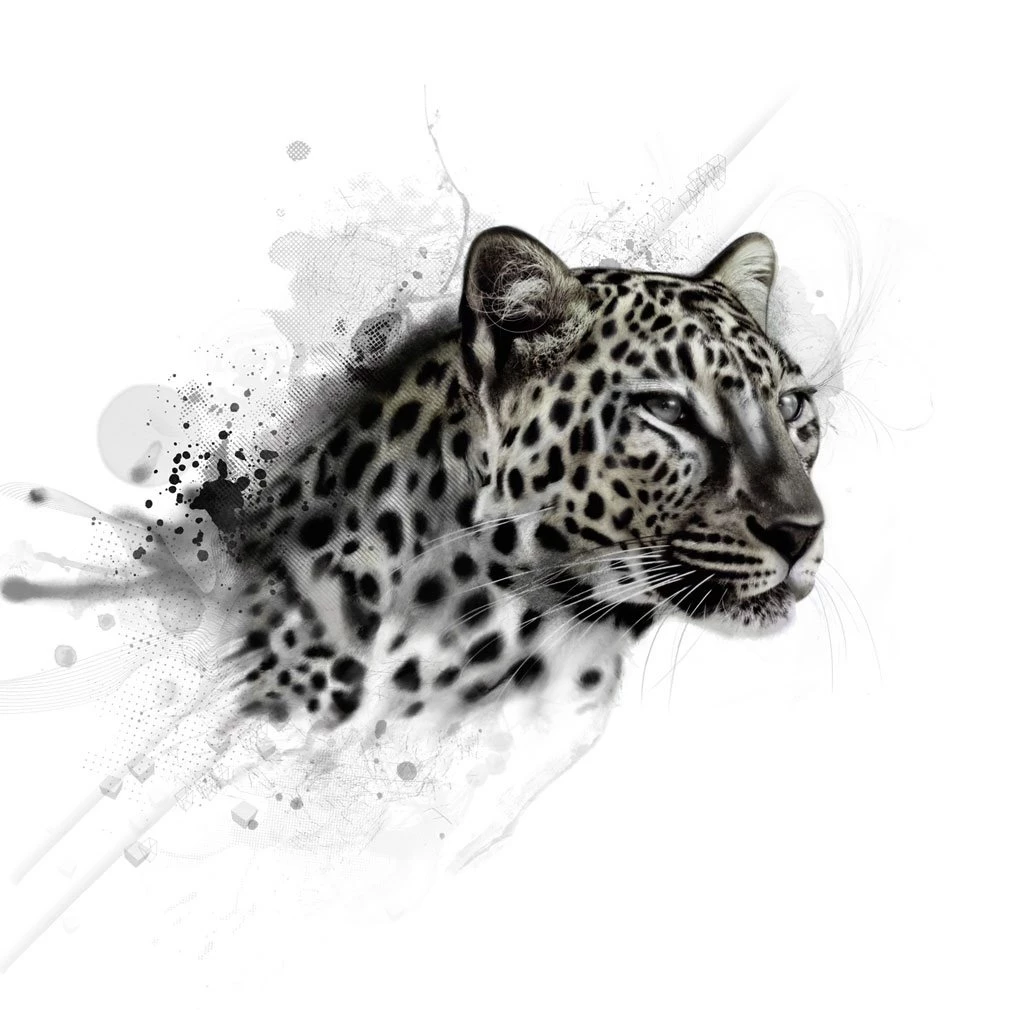 Snow Leopard Sketch Wallpaper, iPad 2 Wallpaper, Miscellaneous ...