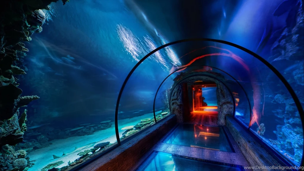 Underwater HD Wallpapers
