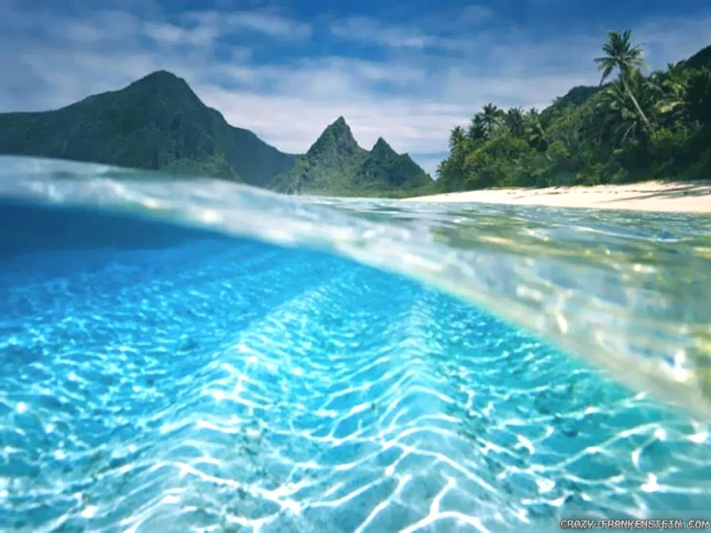 Beautiful Summer Wallpapers 3 Crazy Frankenstein