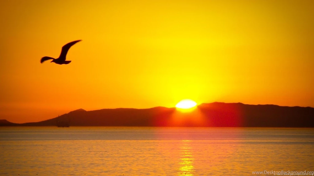 SUNRISE WALLPAPERS Android Apps On Google Play