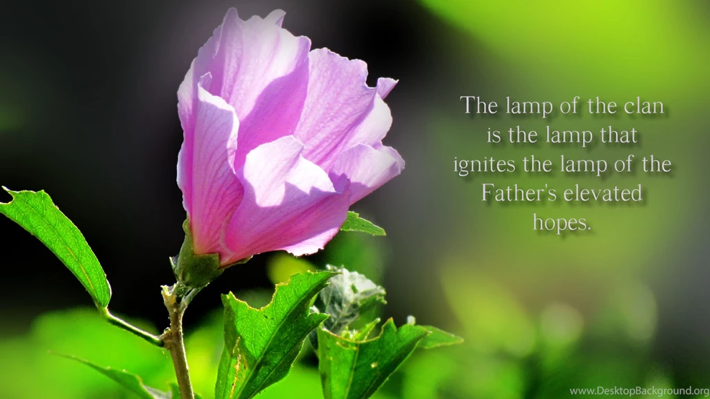 Wallpapers Slogan English Savers Screen Slogans 1920x1080 ...