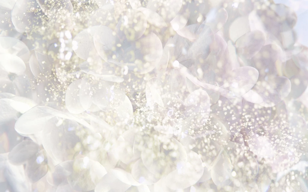 White Desktop Backgrounds Wallpaper, High Definition, High ...