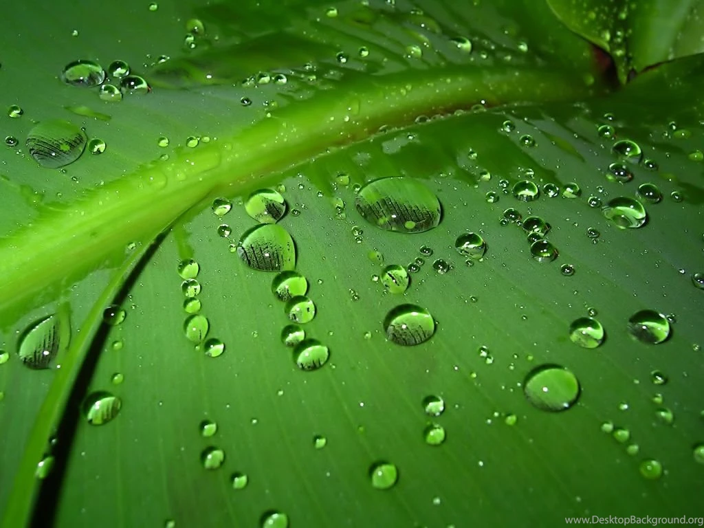 Background Images Abstract – 1024×768 High Definition Wallpapers ...