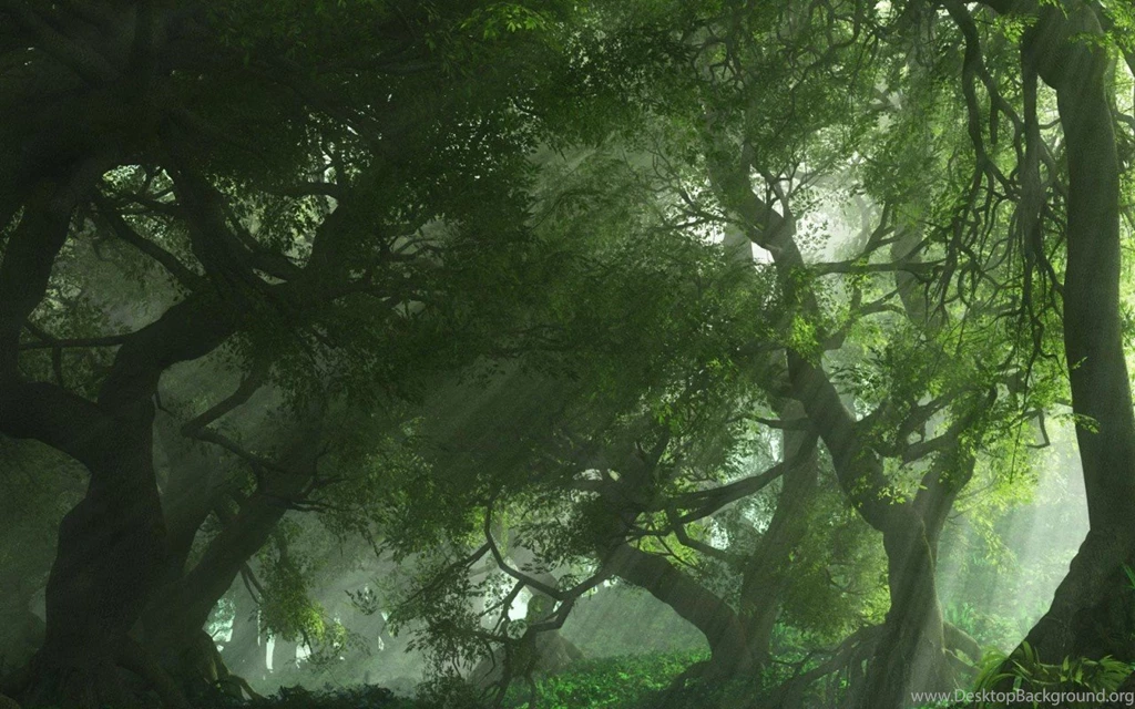 High Quality 1600×1200 Desktop Backgrounds PC 3d Graphics Forest ...