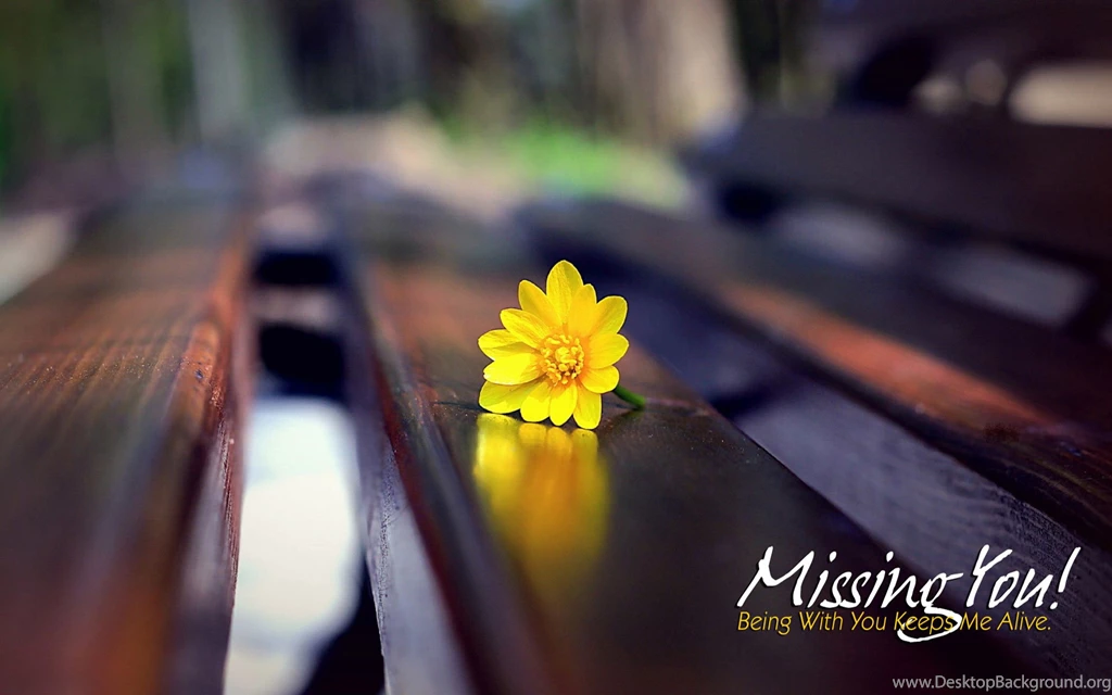 HD I Miss You Wallpapers For Him Or Her Romantic Wallpapers Chobirdokan