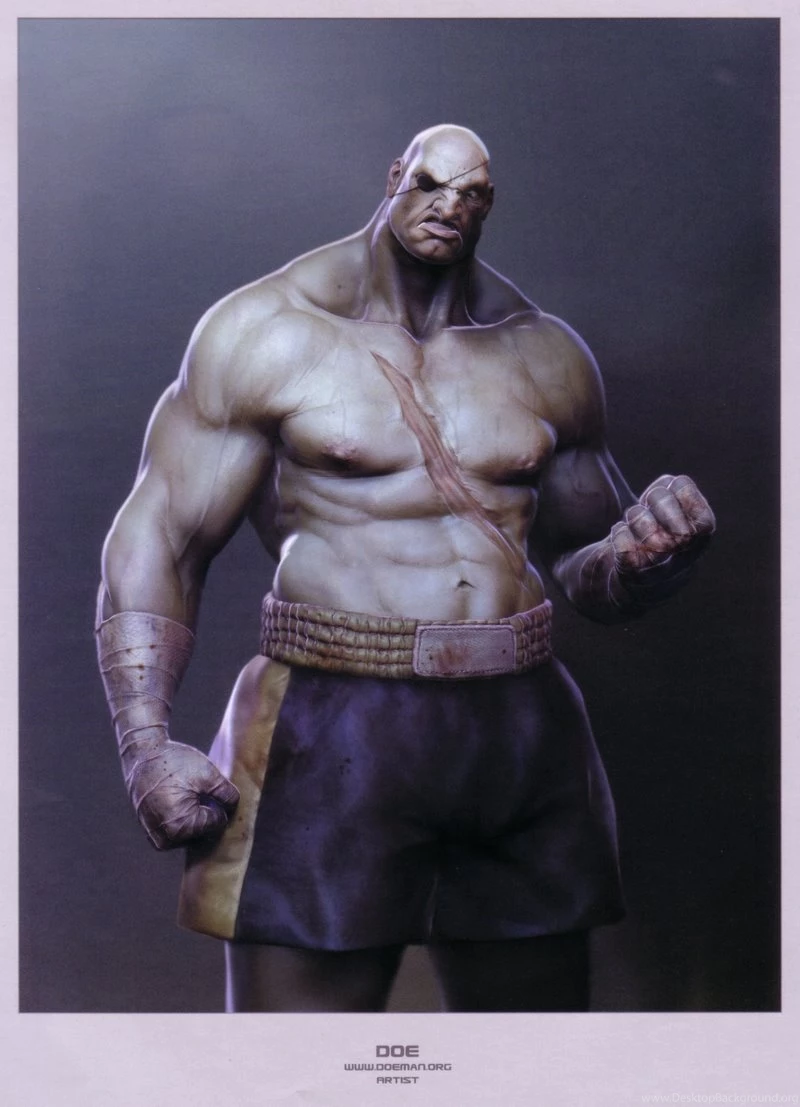 Street Fighter,Sagat Street Fighter Sagat 2196x3040 Wallpapers ...