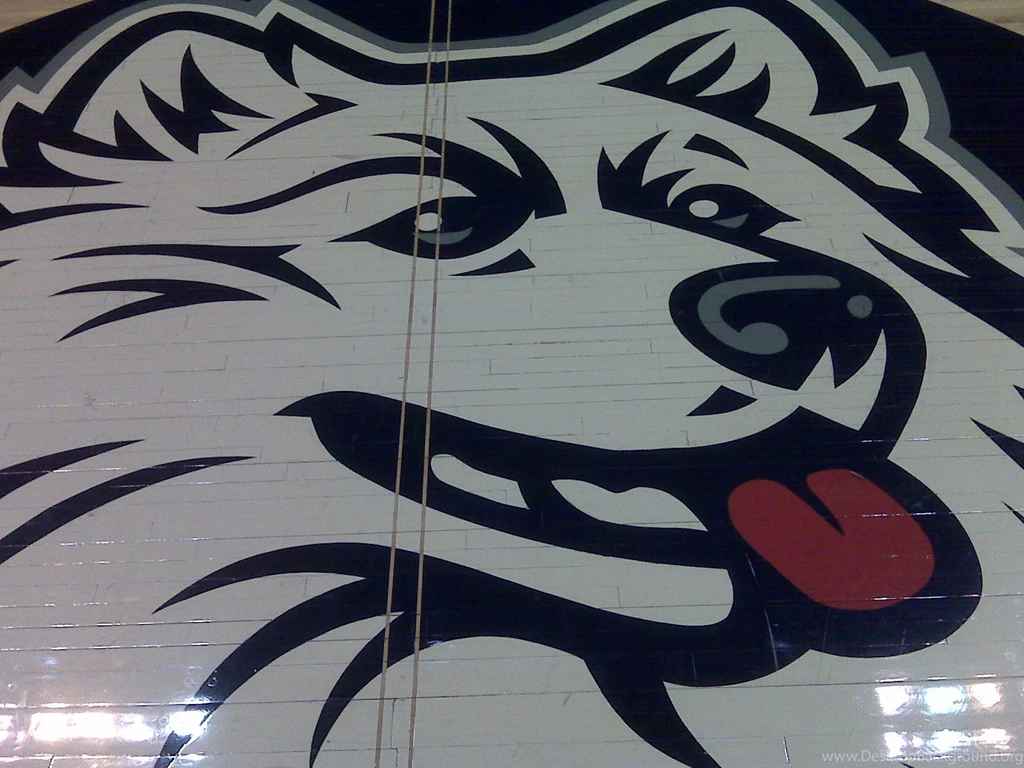 This And That From Gampel ... UCONN