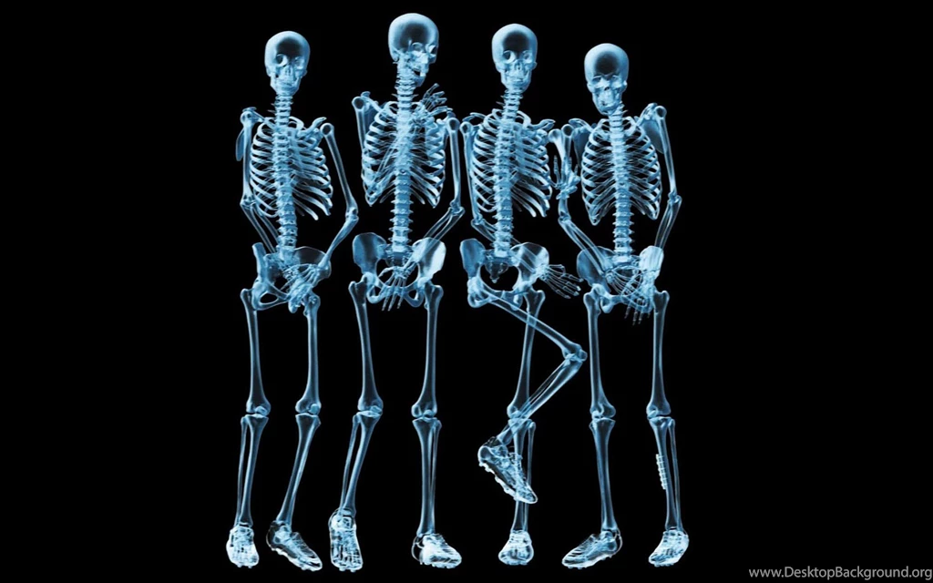 Funny Wallpapers High Quality