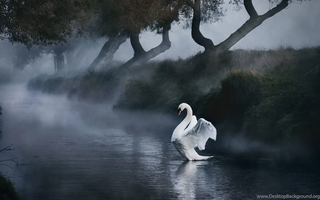 National Geographic Magazine 2011 November" Exqu Landscape ...