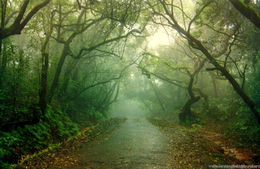 Cute Nature Hd Wallpapers   SUPERHDFX