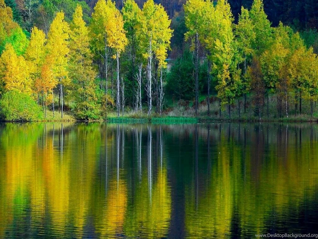 Wallpapers Cute Natures Nature Landscape 1024x768