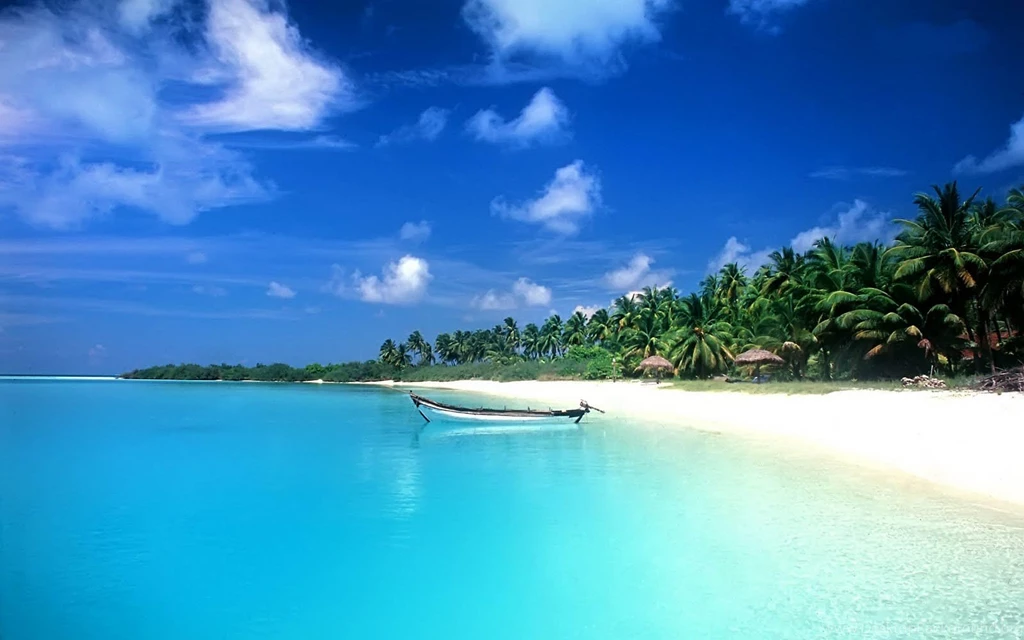 6873018 desktop backgrounds.jpg