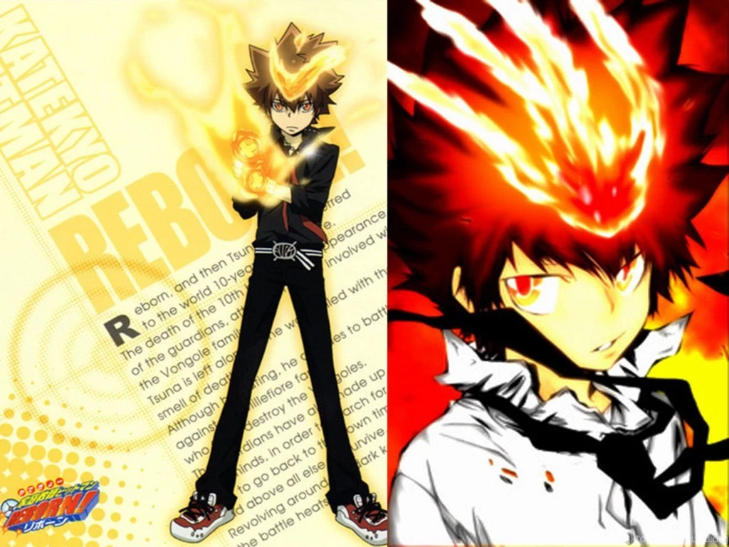 Wallpapers Hayate No Gotoku For Free Katekyo Hitman Reborn Images, Photos, Reviews