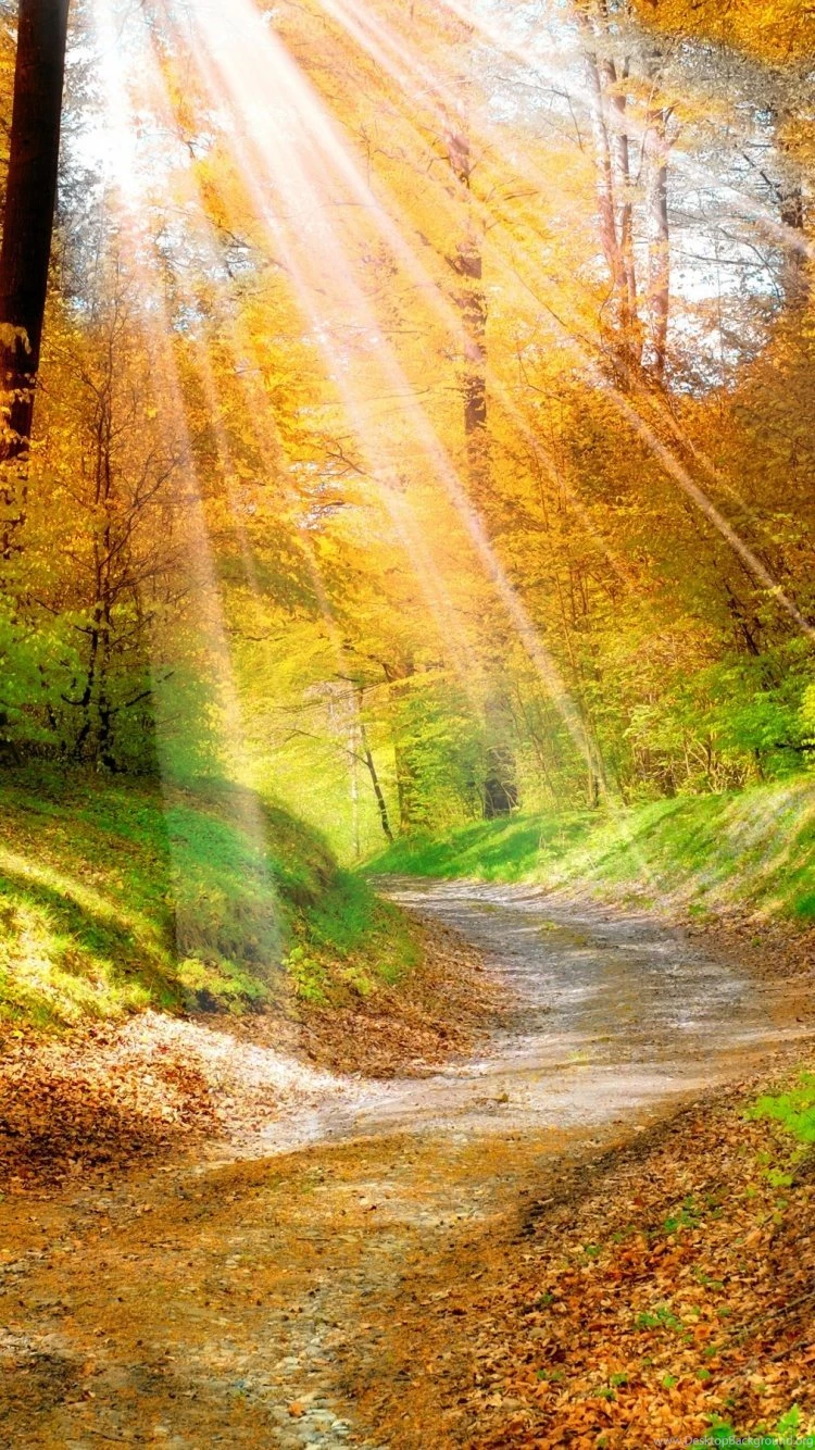 ღ ღ Which Iphone 6 Nature Wallpapers That Will Make You Feel ...