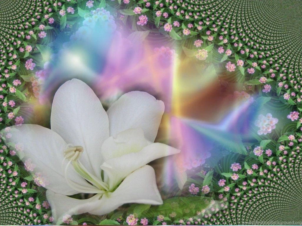Spring New Nature MySpace Wallpapers Blicer