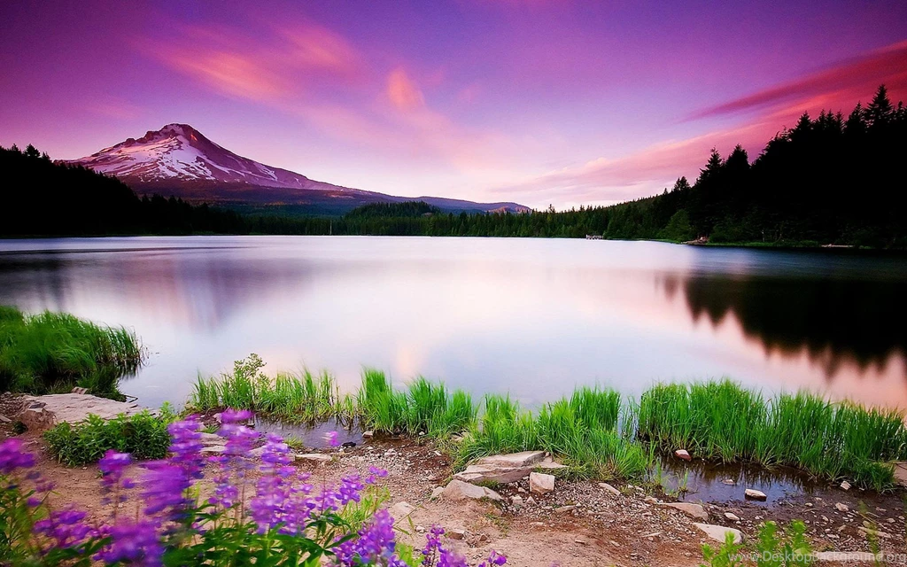 Wallpapers Scenery