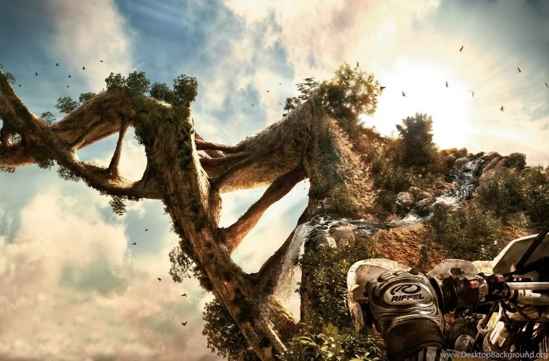 Trees,DNA Trees Dna Motorbikes 1600x1052 Wallpapers – Tree ...