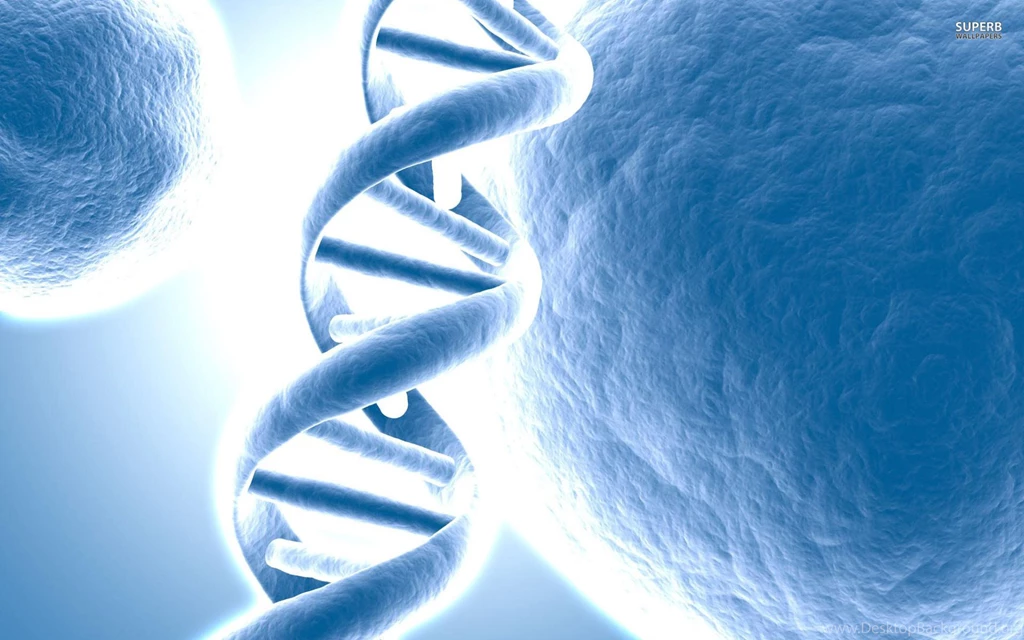 DNA Strand : Desktop And Mobile Wallpapers : Wallippo