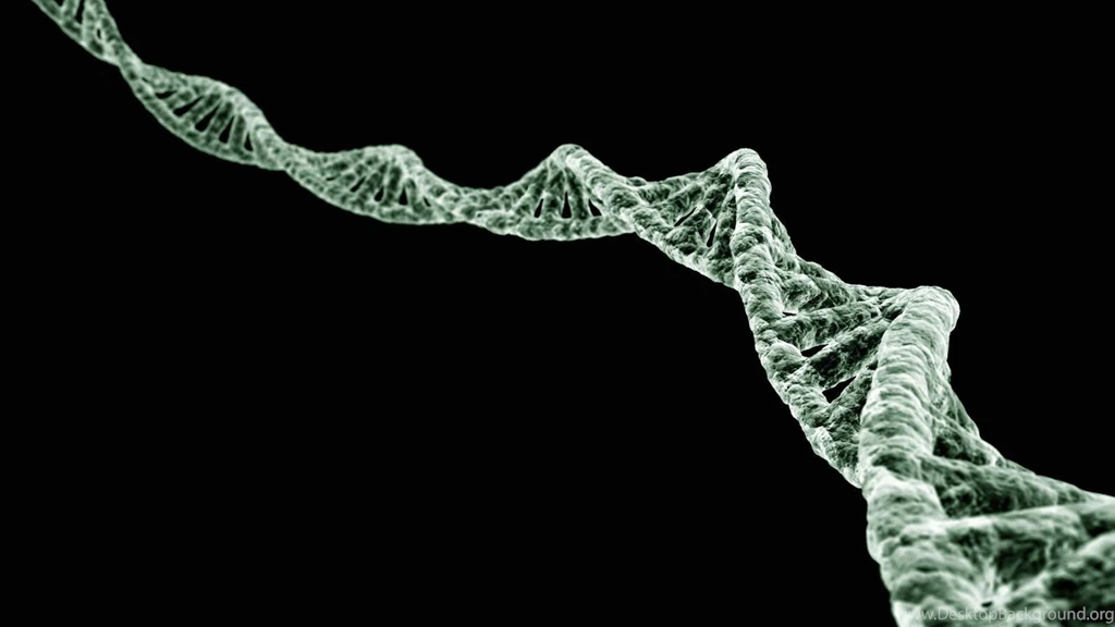Wallpapers Dna File Name Miscellaneous Digital Art Jpg Resolution ...