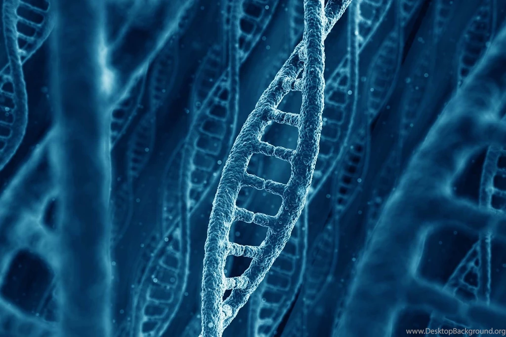 DNA Wallpapers   HD Images New