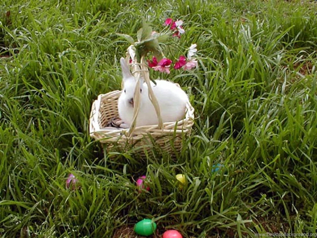 Santa Banta Wallpapers Nature Wallpapers Cave