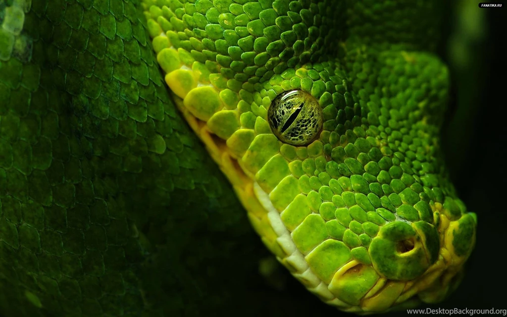 High Resolution Image