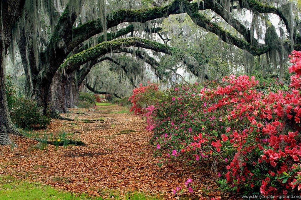 Very Beautiful Wallpapers Of High Resolution
