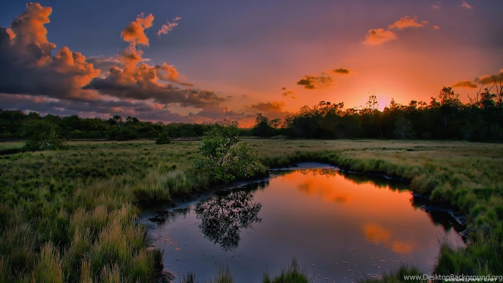 Nature Wallpapers 1920X1080 Cool Wallpapers HD For Desktop ...