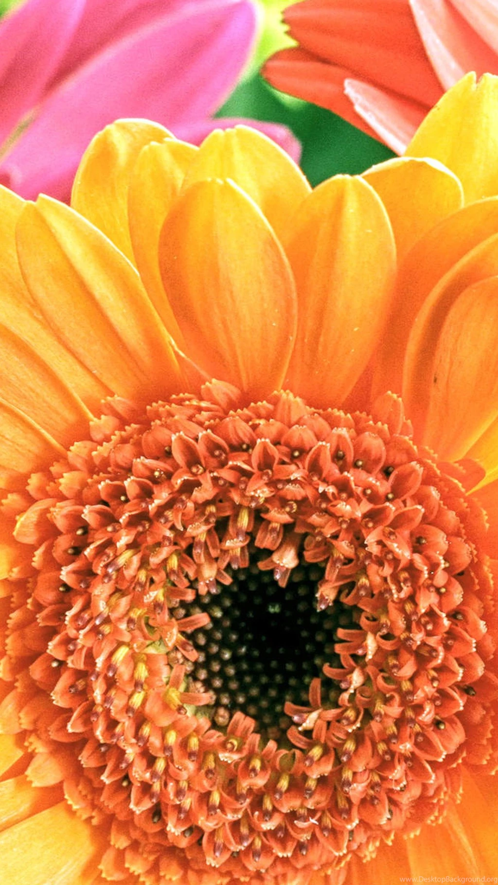 Galaxy S5 Wallpapers HD, Samsung Galaxy S5 Wallpapers