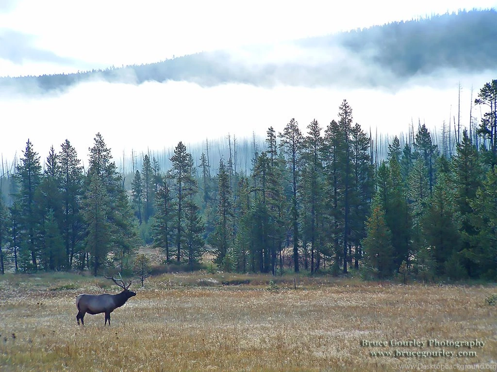 Bruce Gourley Photography: Windows Wallpaper Images