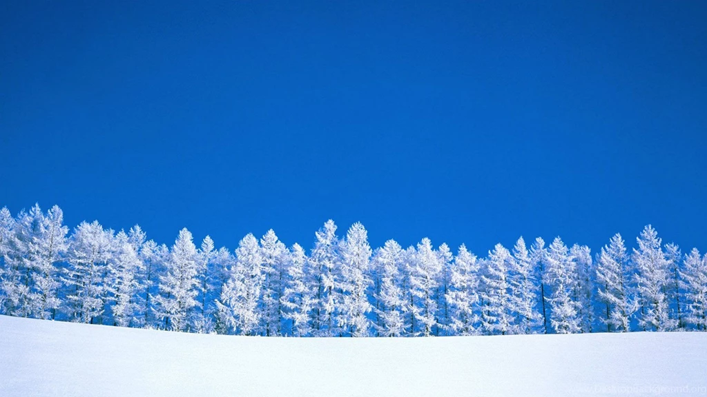 Winter Wallpapers