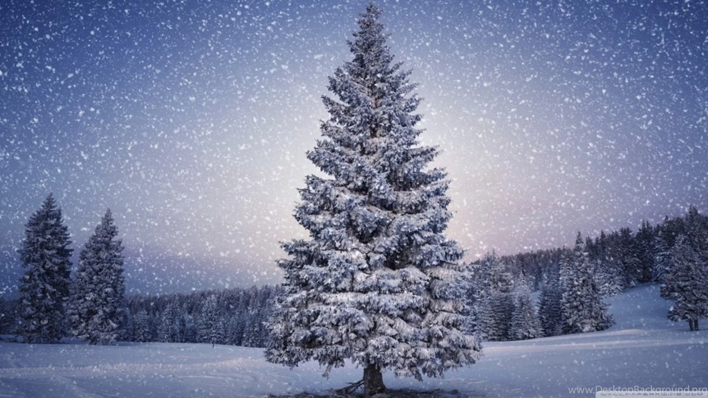 Desktop Winter Wallpapers HD Live Wallpapers HD Desktop Wallpapers