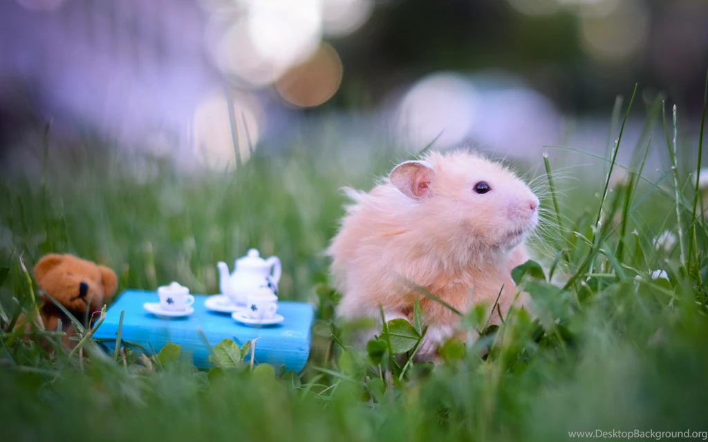 Download Wallpapers 3840x2400 Hamster, Tea Party, Game, Grass Ultra ...