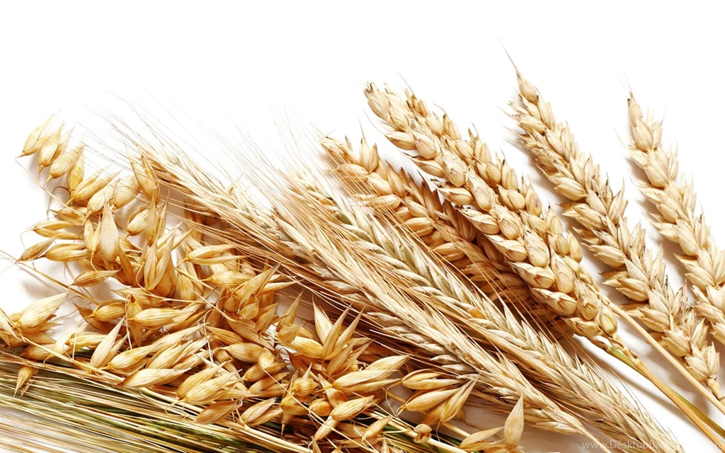 Wheat HD