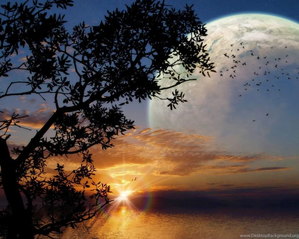 Sunset Wallpapers 3D