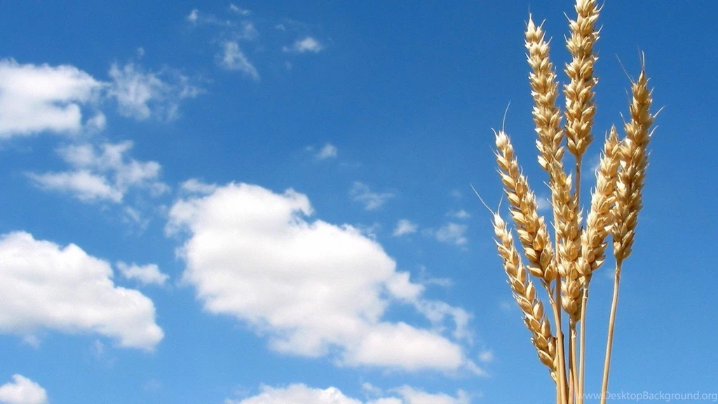 Awesome Cliff Pictures HD Wallpapers Free Download