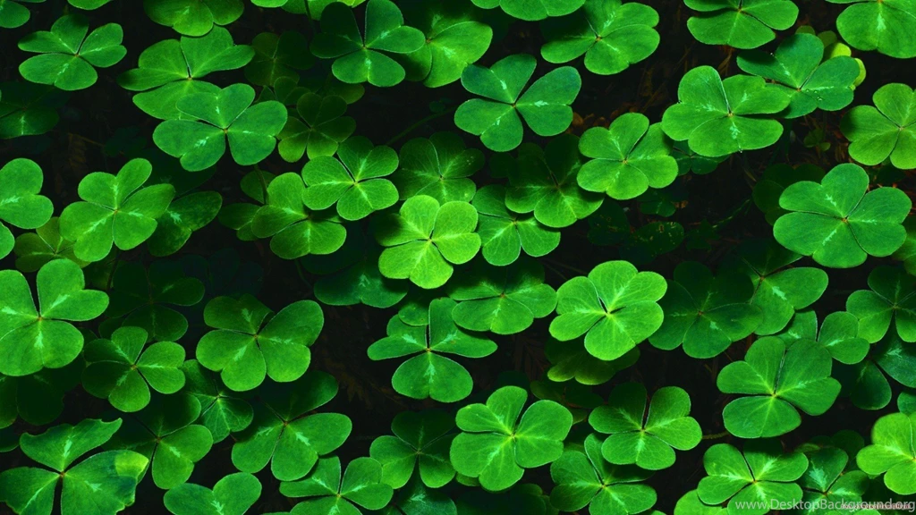 Nature, Green, Leaves, Plants, Shamrock, Clovers, Pattern ...
