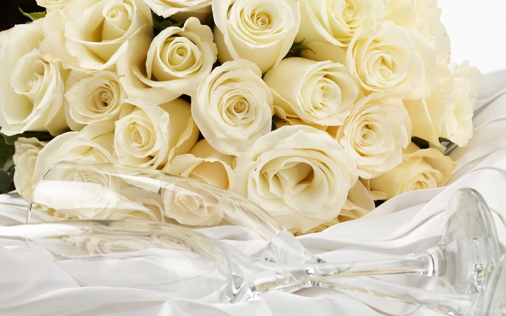 White Roses Backgrounds Wallpapers Cave