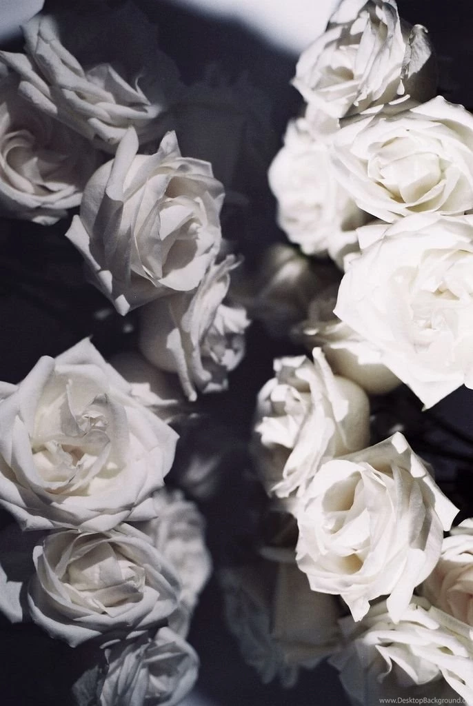 White Roses/black Backgrounds