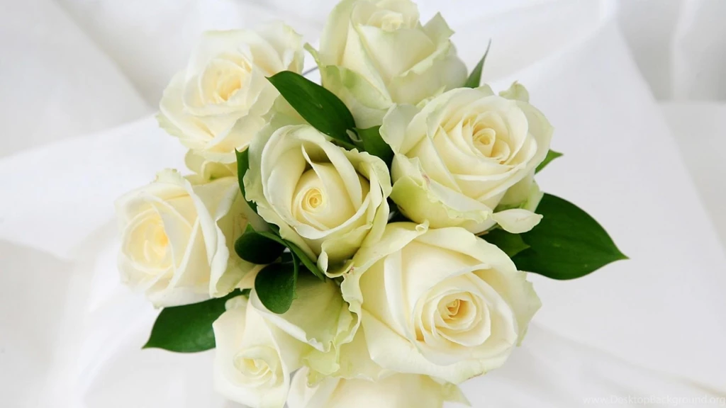 White Roses In A Beautiful Bouquet On A White Backgrounds On March ...