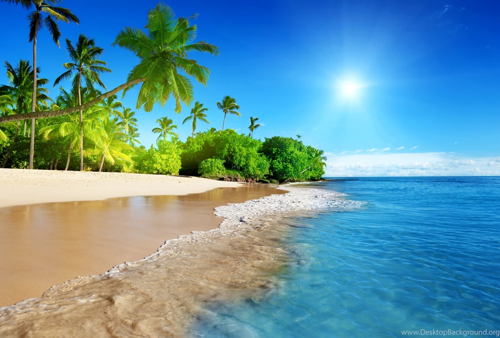 Blue Sea Paradise Sun Beach Palms