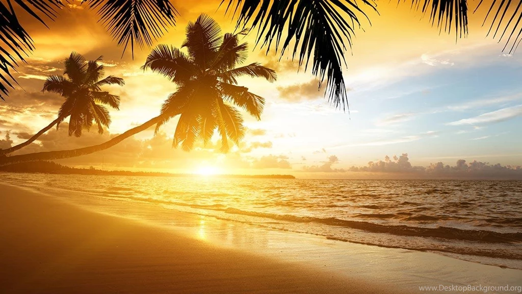Beach Sunset Live Wallpapers Android Apps And Tests AndroidPIT