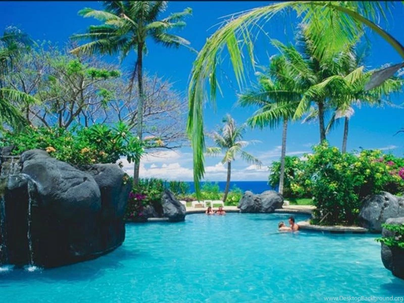 Blue Sea Paradise Sun Beach Palms