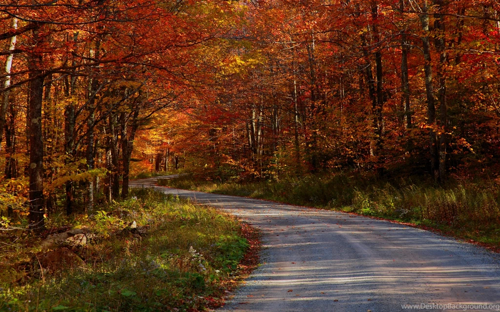 Cool Photography Desktop Backgrounds: Country High Definition ...